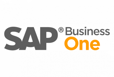Das SAP Business One Logo, eines der IT-Produkte von WUD